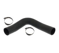 Tubo flessibile del radiatore FEBI BILSTEIN 101251