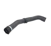 Tubo flessibile del radiatore FEBI BILSTEIN 170441