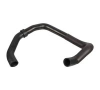 Tubo flessibile del radiatore FEBI BILSTEIN 170961