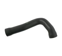 Tubo flessibile del radiatore FEBI BILSTEIN 27460 destro