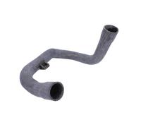 Tubo flessibile del radiatore FEBI BILSTEIN 35212