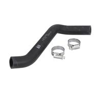 Tubo flessibile del radiatore FEBI BILSTEIN 49102