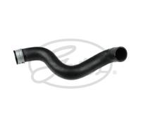 Tubo flessibile del radiatore GATES 05-2738