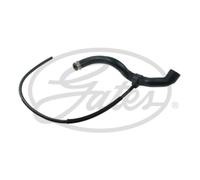 Tubo flessibile del radiatore GATES 05-3382