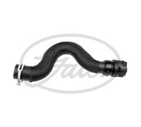 Tubo flessibile del radiatore GATES 05-4081