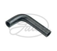 Tubo flessibile del radiatore GATES 2009