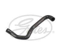 Tubo flessibile del radiatore GATES 22233