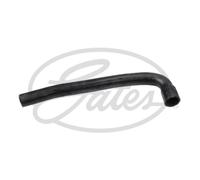 Tubo flessibile del radiatore GATES 3297