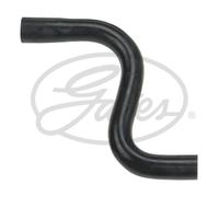 Tubo flessibile del radiatore GATES 3450