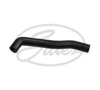 Tubo flessibile del radiatore GATES 3454