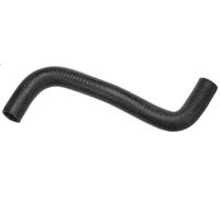 Tubo flessibile del radiatore GATES 3556 per VW GOLF I (17) 1.6 1983-1984