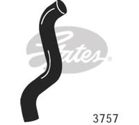 Tubo flessibile del radiatore GATES 3757