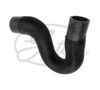 Tubo flessibile del radiatore GATES 3776