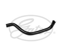 Tubo flessibile del radiatore GATES 3791