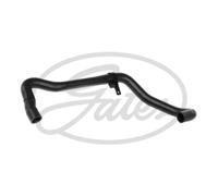 Tubo flessibile del radiatore GATES 3870