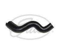 Tubo flessibile del radiatore GATES 3872
