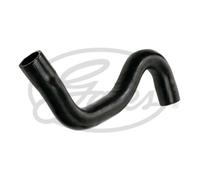 Tubo flessibile del radiatore GATES 3981
