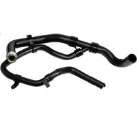 Tubo flessibile del radiatore GATES 3984 per PARTNER MPV / Space wagon 2 2000-