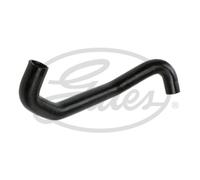 Tubo flessibile del radiatore GATES 3985
