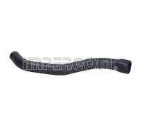 Tubo flessibile del radiatore IMPERGOM 18229