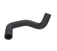 Tubo flessibile del radiatore IMPERGOM 18531