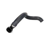 ORIGINAL IMPERIUM 18613 Flessibile radiatore