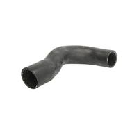 Tubo flessibile del radiatore IMPERGOM 220800