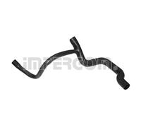 Tubo flessibile del radiatore IMPERGOM 220932