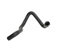 Tubo flessibile del radiatore IMPERGOM 223604