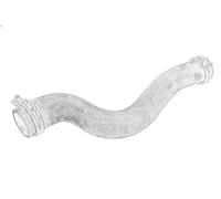 Tubo flessibile del radiatore OE PEUGEOT 1343LP