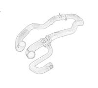 Tubo flessibile del radiatore OE RENAULT 21 50 108 60R
