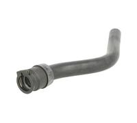 Tubo flessibile del radiatore SASIC 3400165