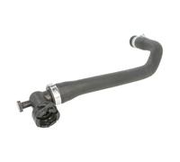 Sasic Tubo flessibile radiatore 3400169 per Citroën C2 1.4 2003-2009