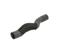 Tubo flessibile del radiatore SASIC 3400213