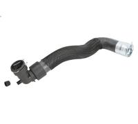 Tubo flessibile del radiatore SASIC 3400231 per CITROEN C4 I (LC_) 2 2004-2011