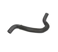 Tubo flessibile del radiatore SASIC 3404070