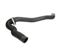 Tubo flessibile del radiatore SASIC 3404123