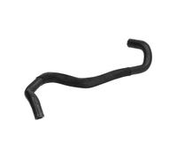 Tubo flessibile del radiatore SASIC 3404131