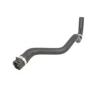Tubo flessibile del radiatore SASIC 3404165