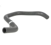 Tubo flessibile del radiatore SASIC 3404167 per SCENIC II (JM0/1_) 1.5 2003-