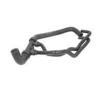 Tubo flessibile del radiatore SASIC 3404175