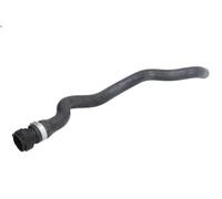 Tubo flessibile del radiatore SASIC 3404191 per CLIO II (BB_, CB_) 1.4 1999-2004
