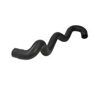 Tubo flessibile del radiatore SASIC 3404207