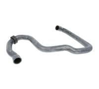 Tubo flessibile del radiatore SASIC 3406042