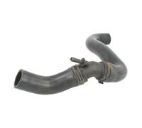 Sasic Radiator Hose 3406054