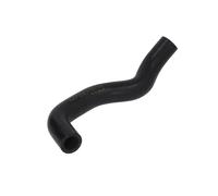 Tubo flessibile del radiatore SASIC 3406055