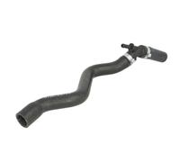 Tubo flessibile del radiatore SASIC 3406063