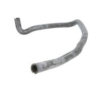 Tubo flessibile del radiatore SASIC 3406068