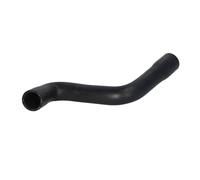 Tubo flessibile del radiatore SASIC 3406081