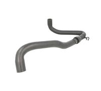 Tubo flessibile del radiatore SASIC 3406090